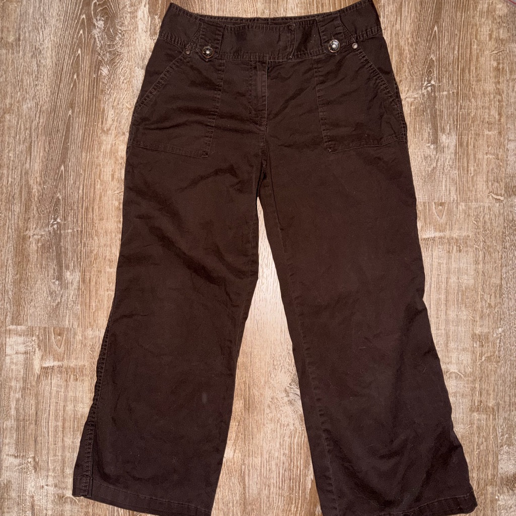 Style & Co. Chocolate Brown Trousers